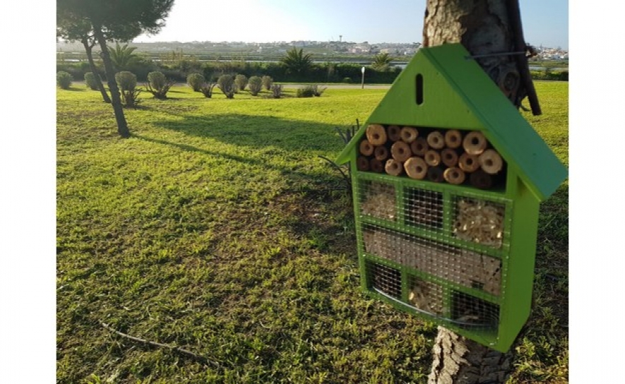 UNIÃO DAS FREGUESIAS DE FARO ESTÁ A INSTALAR CAIXAS-NINHO E OUTRAS ESTRUTURAS PARA PROTEGER A BIODIVERSIDADE URBANA