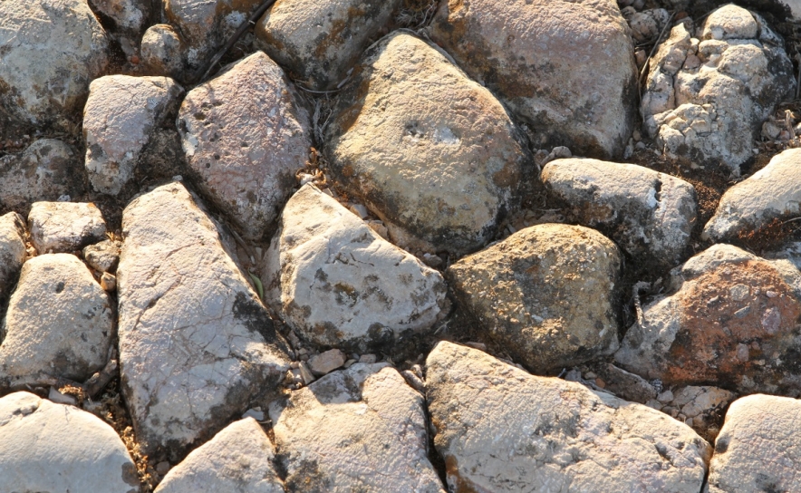 Exposição «A Força Do Andor» no Convento de Santo António