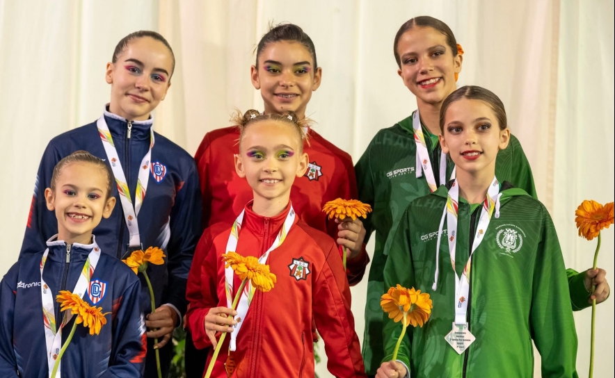 Federação Ginástica