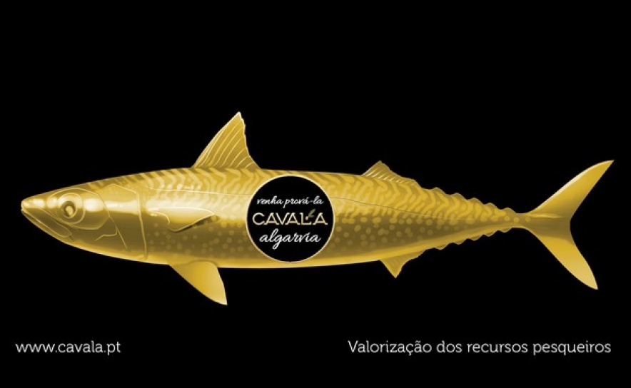 Em Silves promove-se A CAVALA ALGARVIA