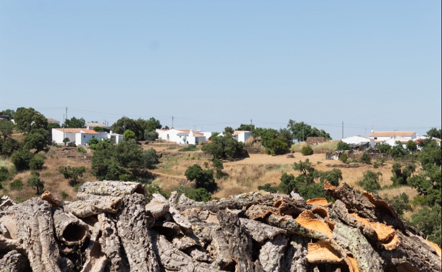 Projeto «Aldeias de Portugal» vence prémio European Leader Awards 2023