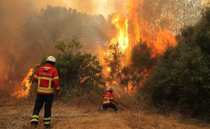 Incêndios: 40 concelhos do interior Norte e Centro e do Algarve em risco máximo