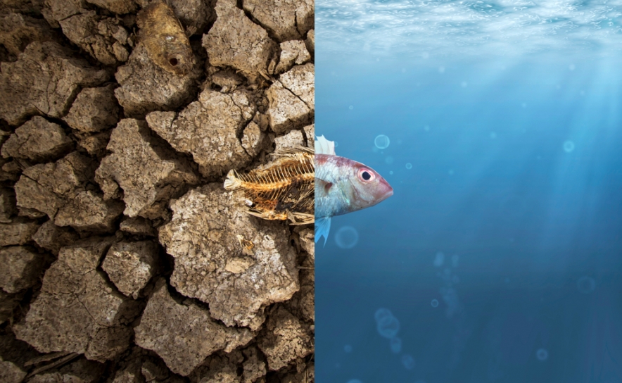 Crise climática e direitos humanos dominam «Encontros do DeVIR» no Algarve