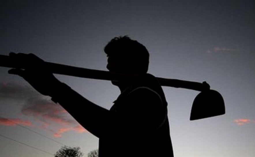 Agricultores com seguro de colheitas e de compensação de sinistralidade com mais apoios