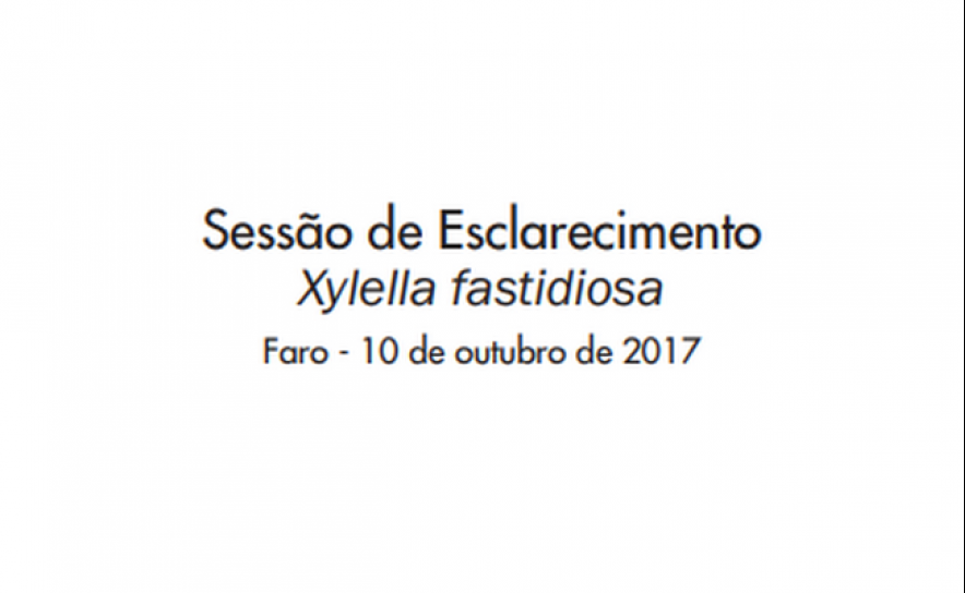 Sessão de Esclarecimento Xylella fastidiosa