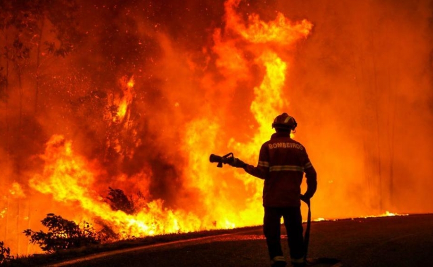 Incêndios: Seguradoras estimam pagar indemnizações de 8 ME