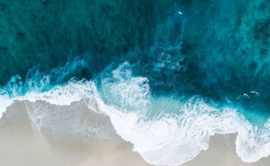 Investigadora da UAlg integra grupo de peritos do Relatório Global da ONU sobre o Oceano