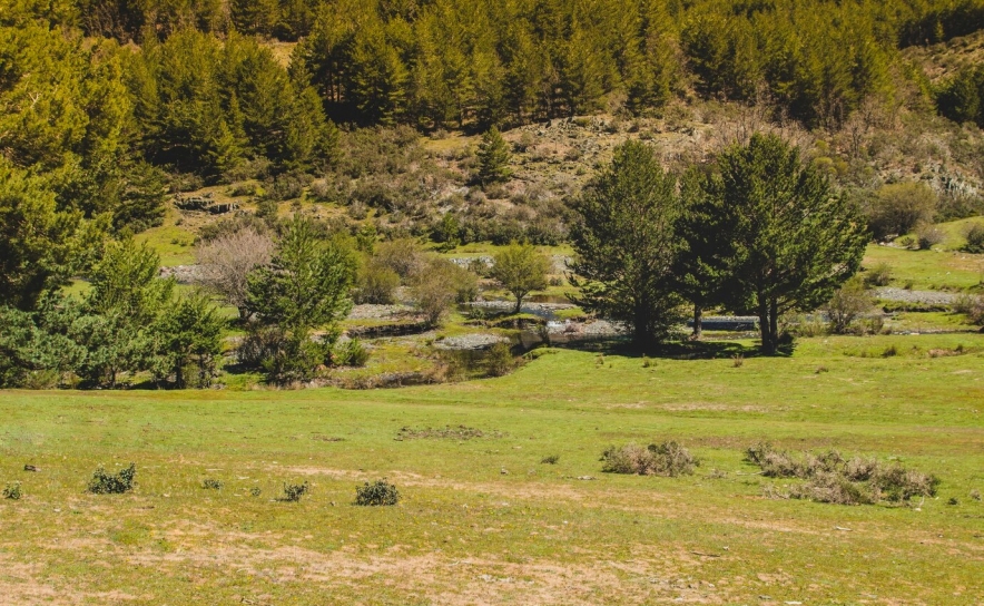 Lei dos solos alterada para se construir casas em terrenos rústicos