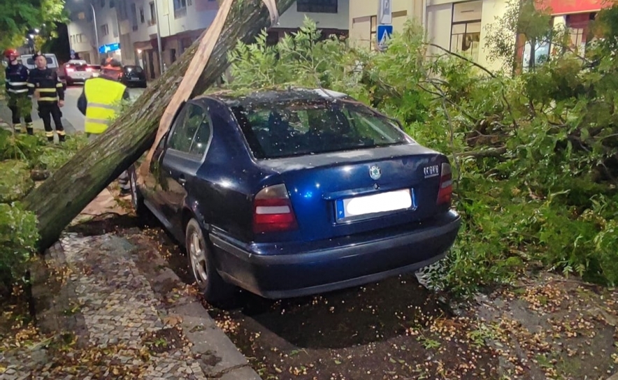 Foto Pedro Correia: Av. José da Costa Mealha Loulé