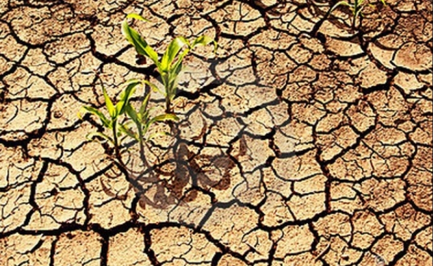 Seca | Agricultores do nordeste algarvio defendem nova barragem