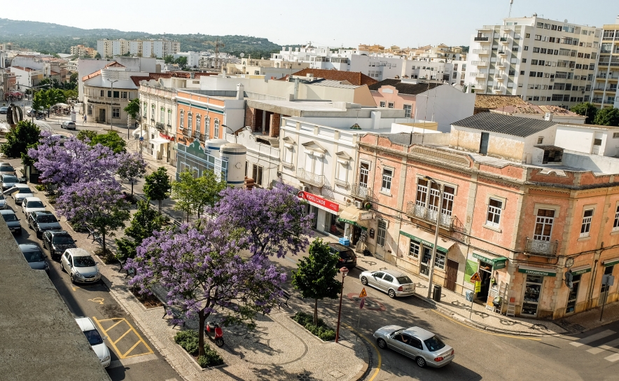 História Urbana de Loulé em livro apresentado no Palácio Gama Lobo