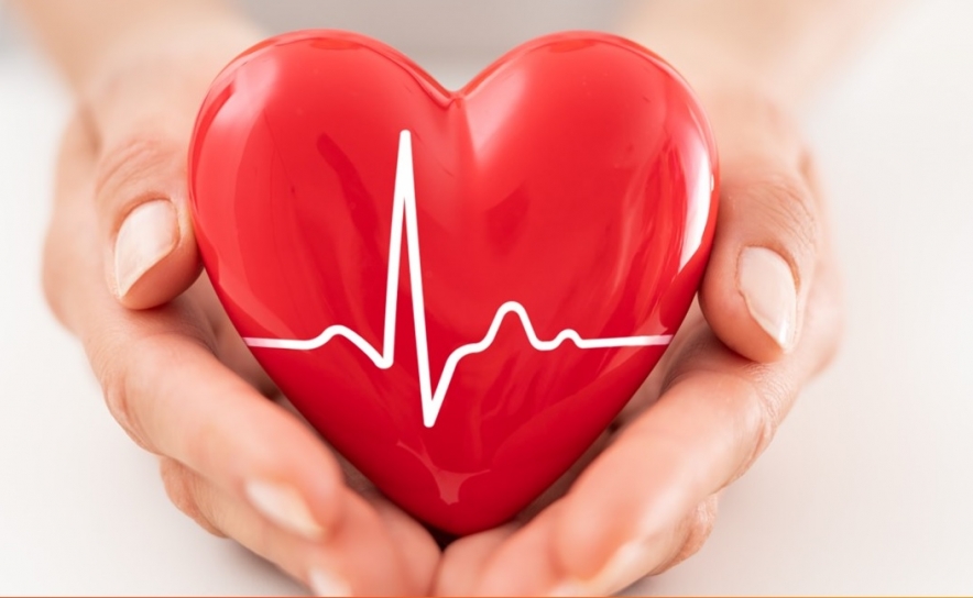 Espaço Saúde 360º Algarve promove sessão informativa sobre saúde cardiovascular 