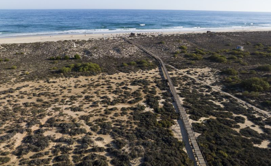 Concessionário de apoio balnear da praia da Terra Estreita vence concurso Areia Viva 2026
