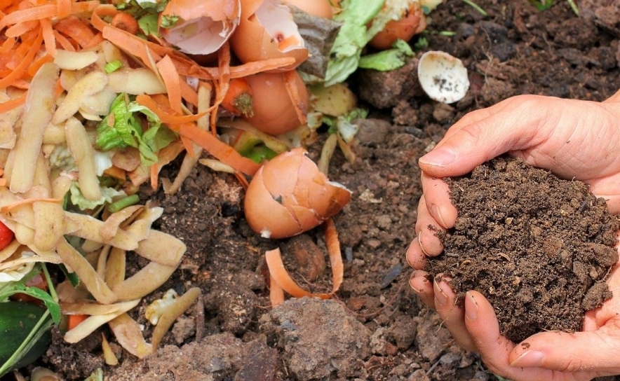 APROVADA CANDIDATURA AO PROGRAMA DE APOIO À ELABORAÇÃO DE ESTUDOS MUNICIPAIS PARA O DESENVOLVIMENTO DE SISTEMAS DE RECOLHA DE BIORRESIDUOS DO FUNDO AMBIENTAL 