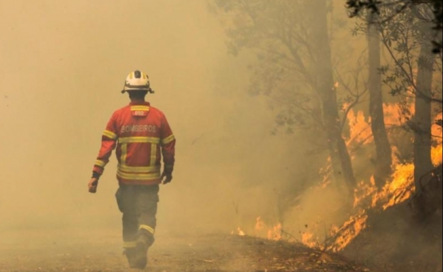 Incêndios: Fogo em Loulé dado como dominado - Proteção Civil