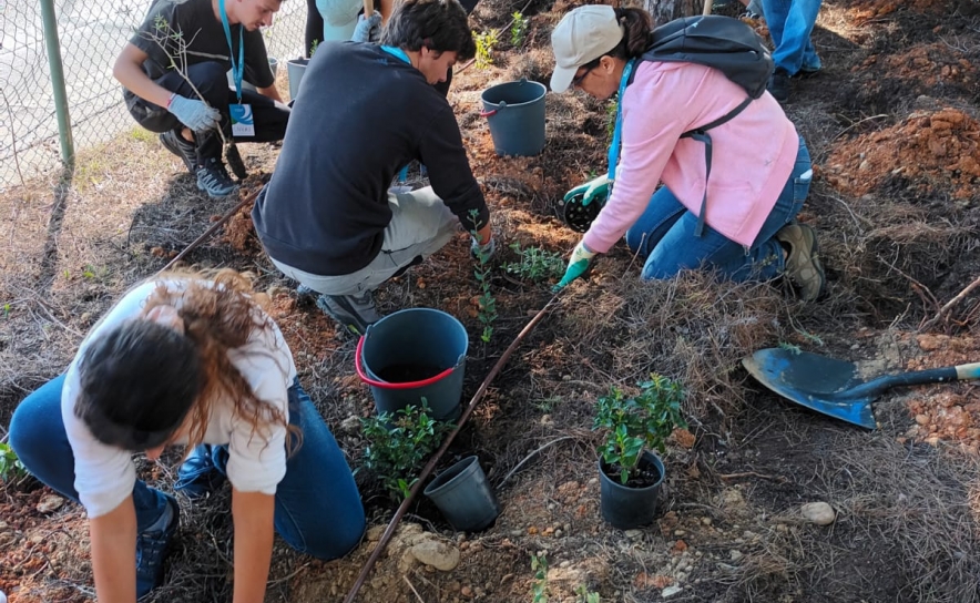 Cerca de 90 voluntários participaram na Operação Montanha Verde no Campus de Gambelas