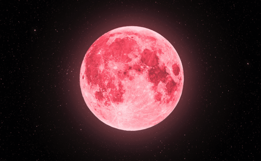 Esteja atento! A lua estará cor de rosa durante o fim de semana