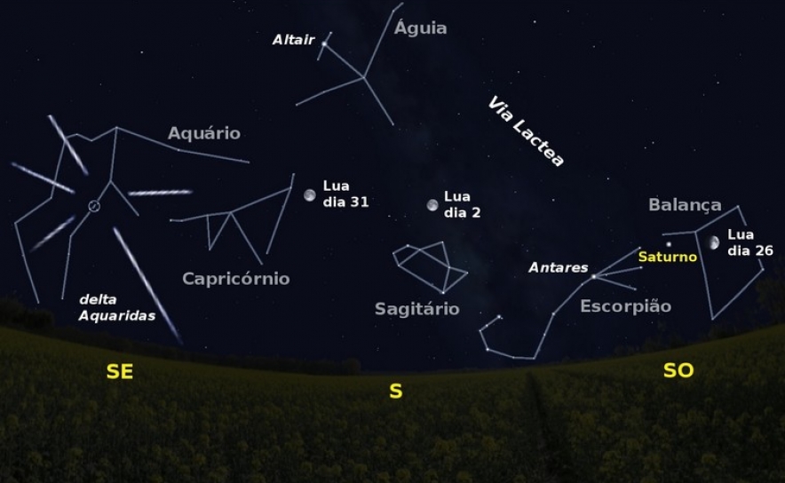 Figura 1