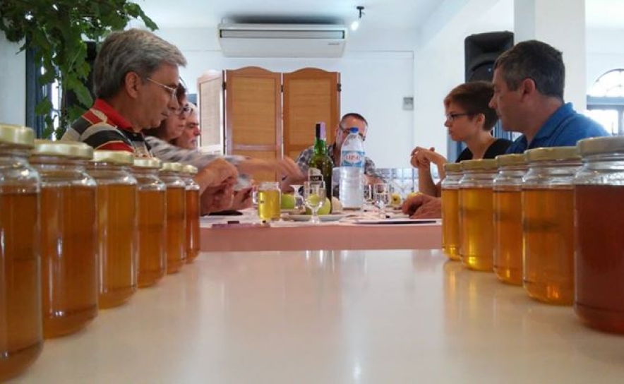 Juri do 30º Concurso do Mel