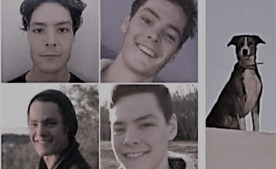 Jovem que estava desaparecido em Albufeira encontrado morto num poço 