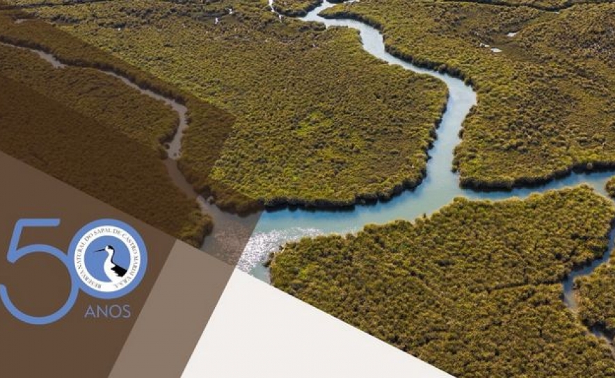 Reserva Natural do Sapal de Castro Marim e VRSA, a primeira do país, celebra 50 anos com atividades diversas e abertas à comunidade