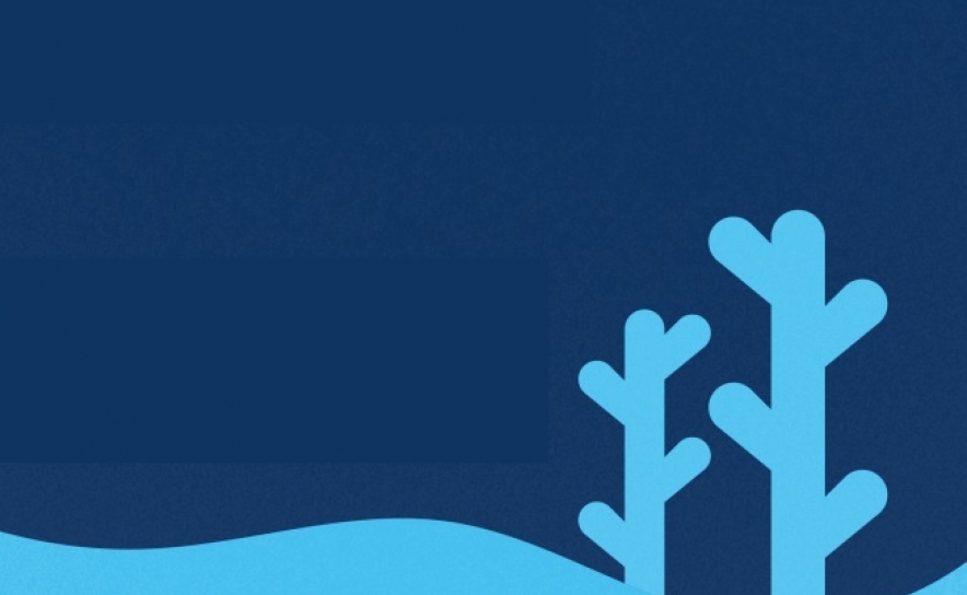 Impacto e Inovação social chegam ao Algarve