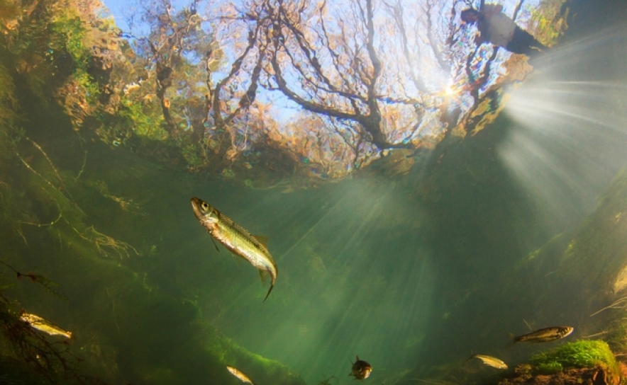 2 Lugar - Equilíbrio Pleno - João Rodrigues 2 Lugar - Equilíbrio Pleno - João Rodrigues